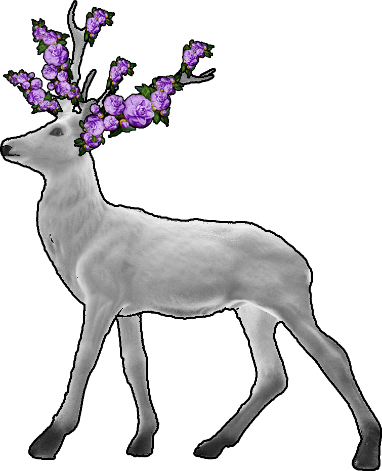 :delaine