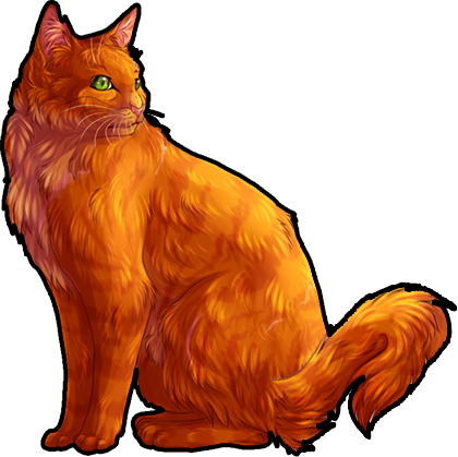 Kot :cat
