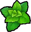 Mięta :mint