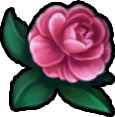 Róża Adriońska :pinkrose
