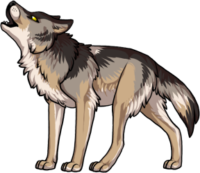 :wof